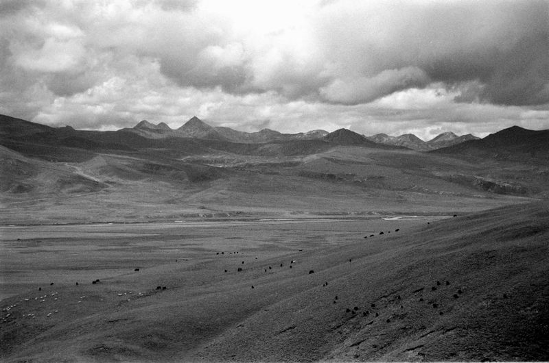 Plateau - Tibet